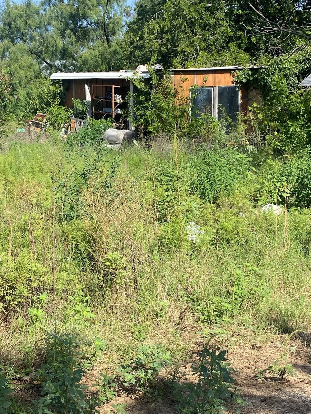 1311 Blanco Street Coleman, TX 76834