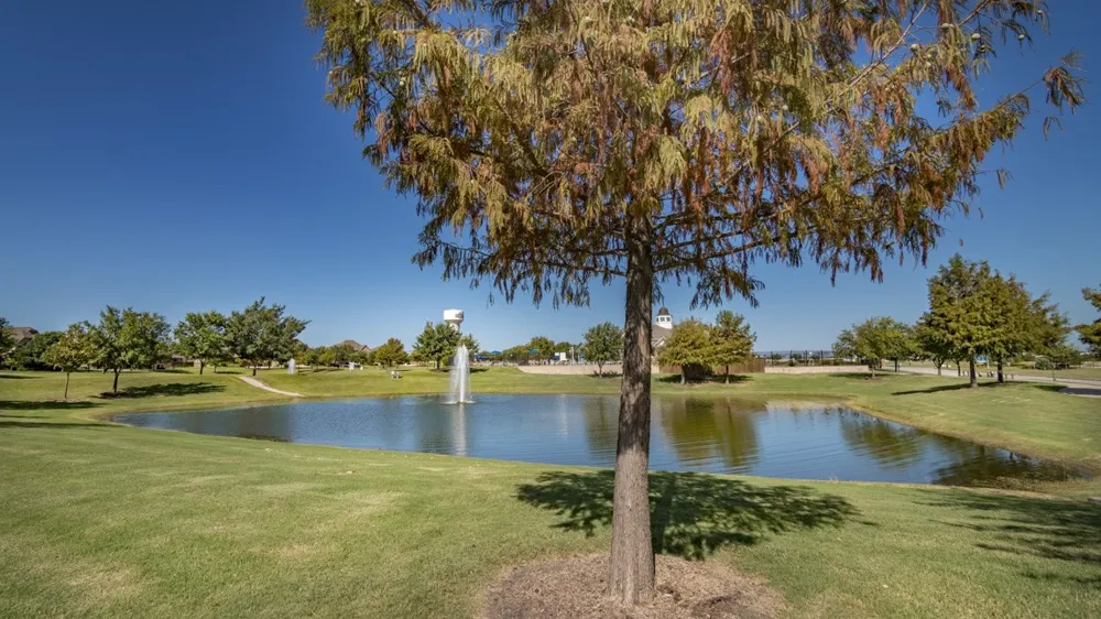 512 Alice Lane Fate, TX 75189