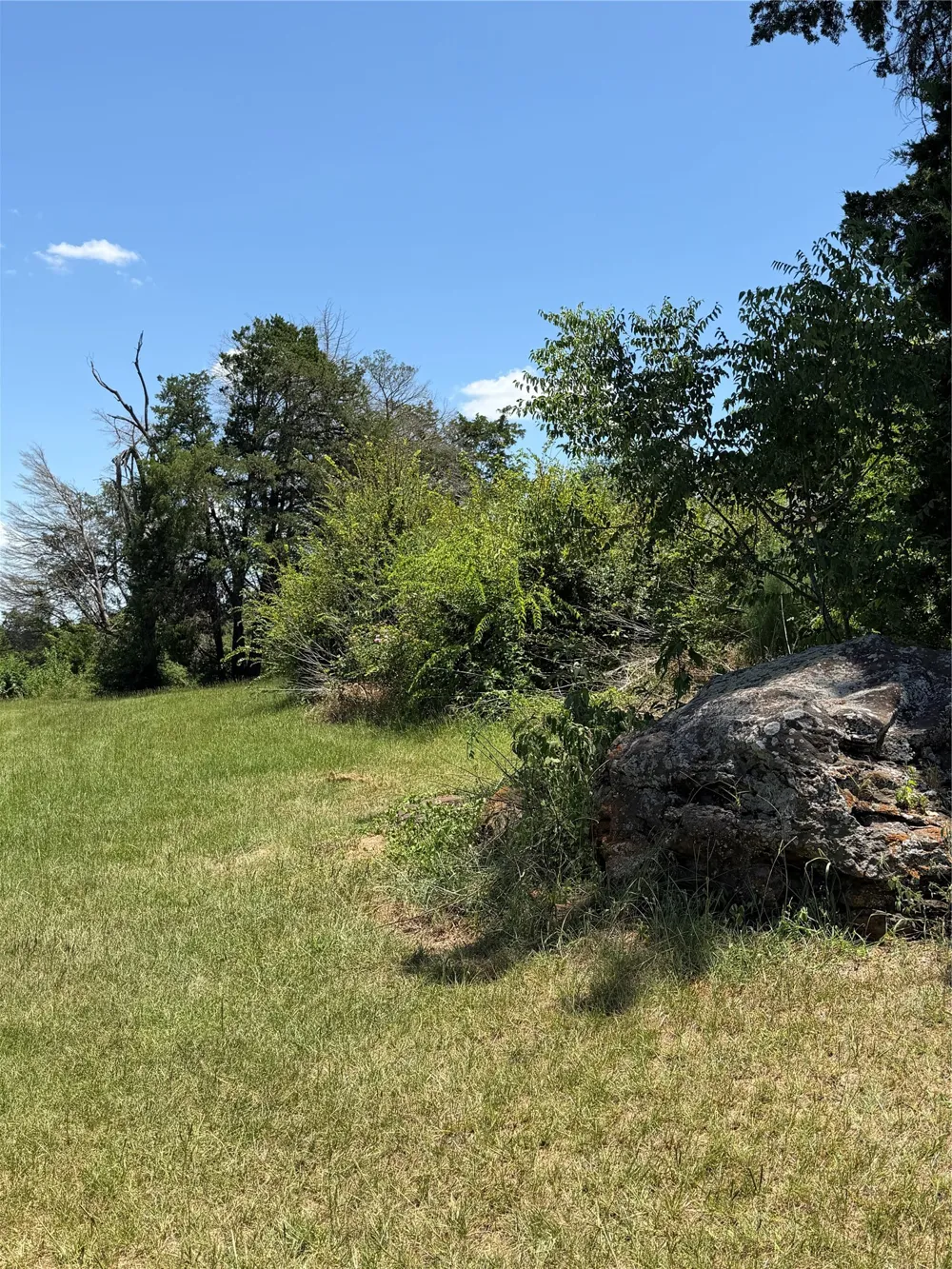 438 Lcr 864 Jewett, TX 75846
