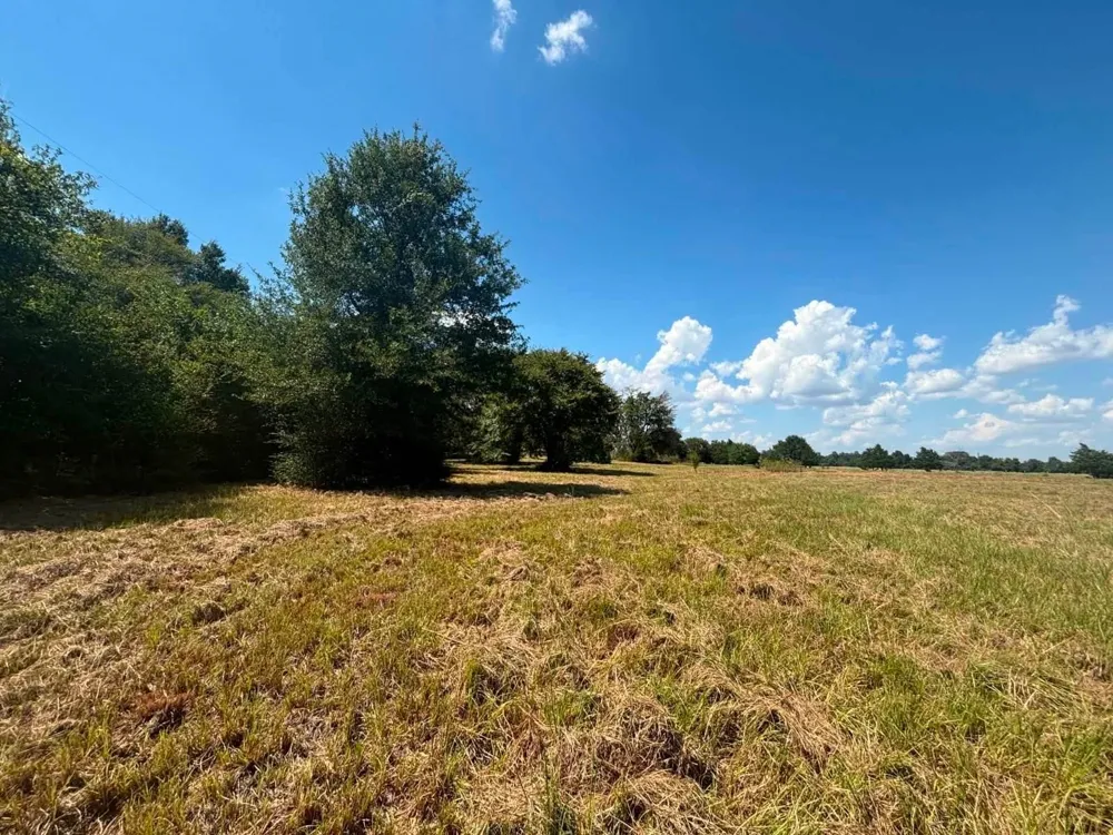 438 Lcr 864 Jewett, TX 75846
