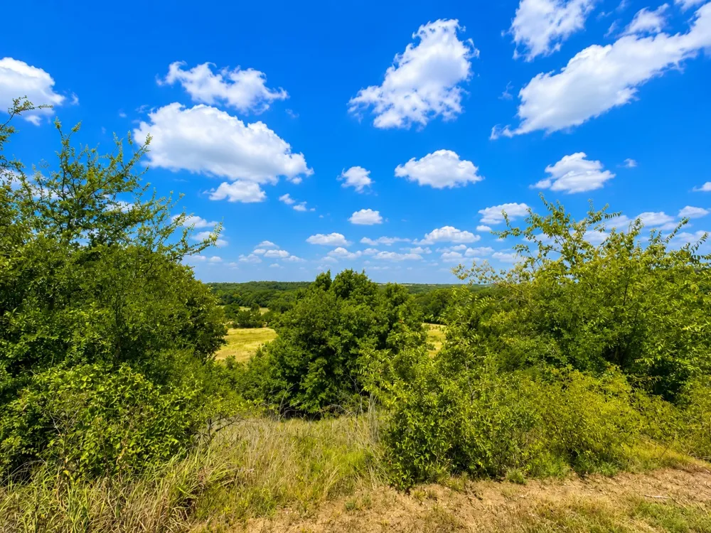 148 County Road 2627 Decatur, TX 76234
