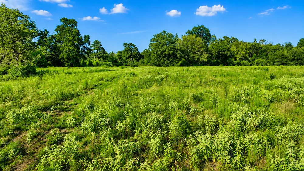 Cr 114 Centerville, TX 75833