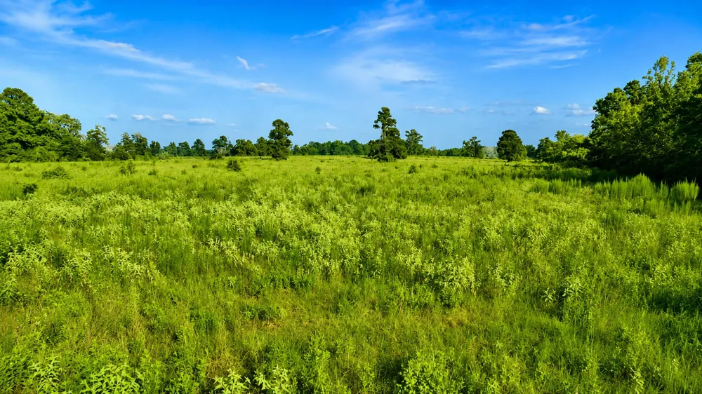 Cr 114 Centerville, TX 75833