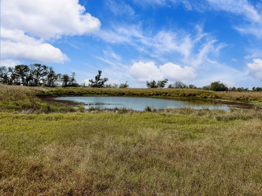 FM 2745 Kosse, TX 76653