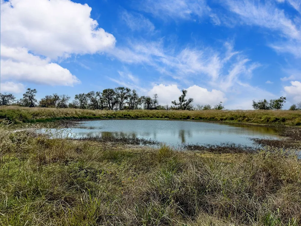 FM 2745 Kosse, TX 76653