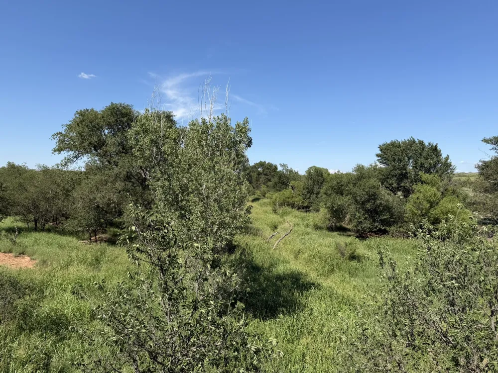 15400 County Road I Wellington, TX 79079