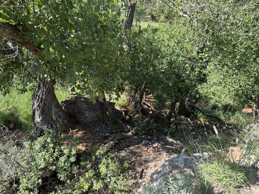 15400 County Road I Wellington, TX 79079