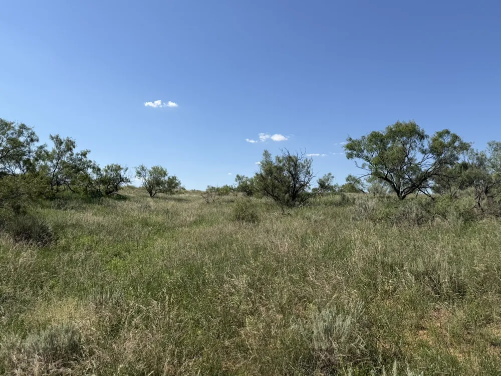 15400 County Road I Wellington, TX 79079