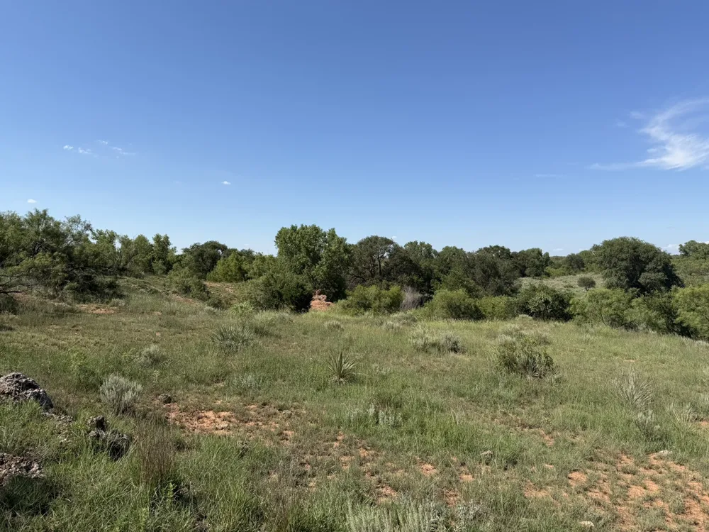 15400 County Road I Wellington, TX 79079