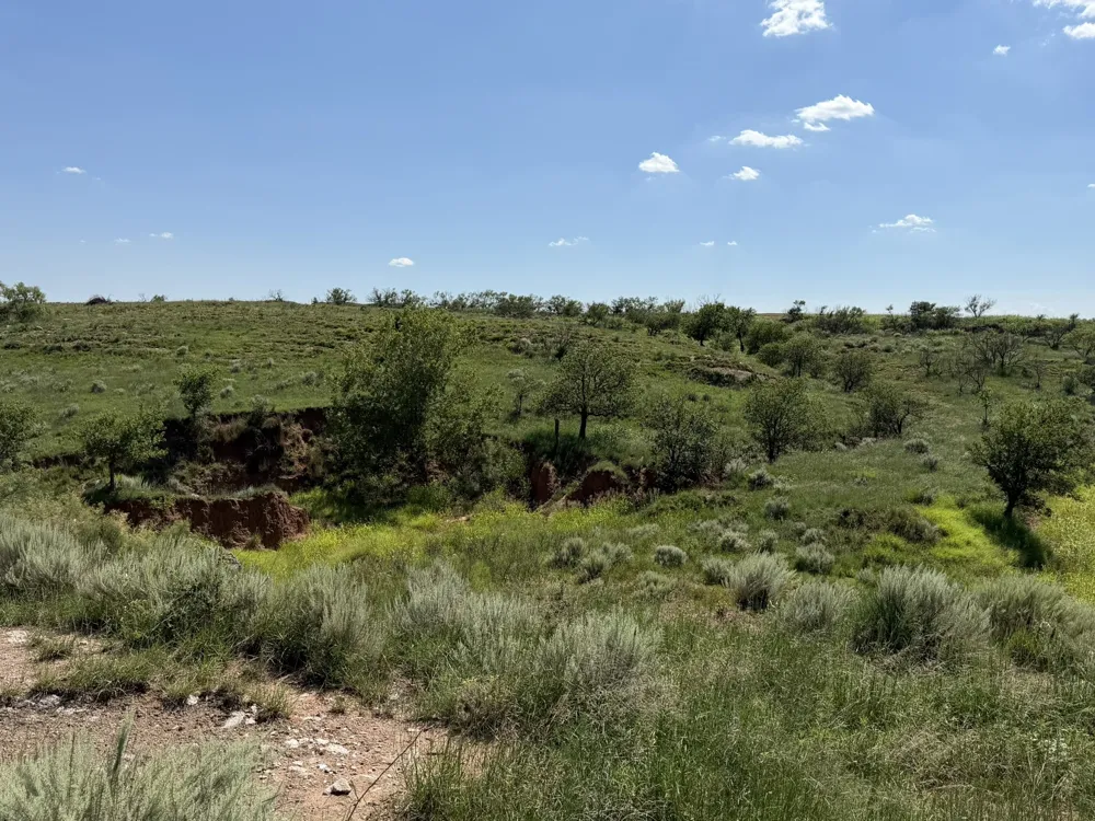15400 County Road I Wellington, TX 79079