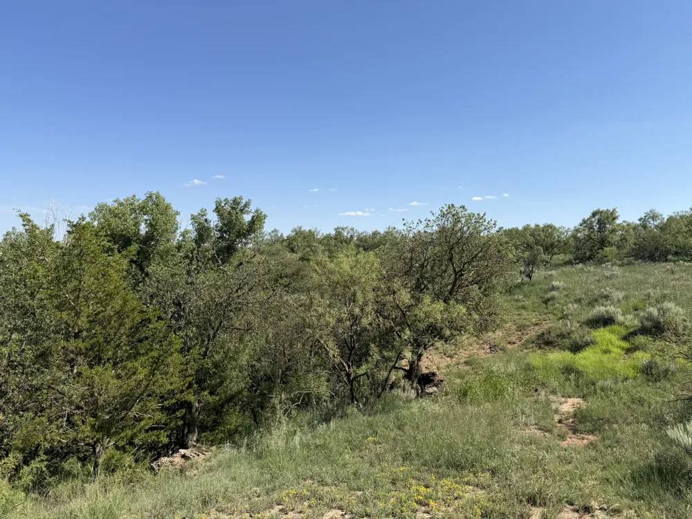 15400 County Road I Wellington, TX 79079