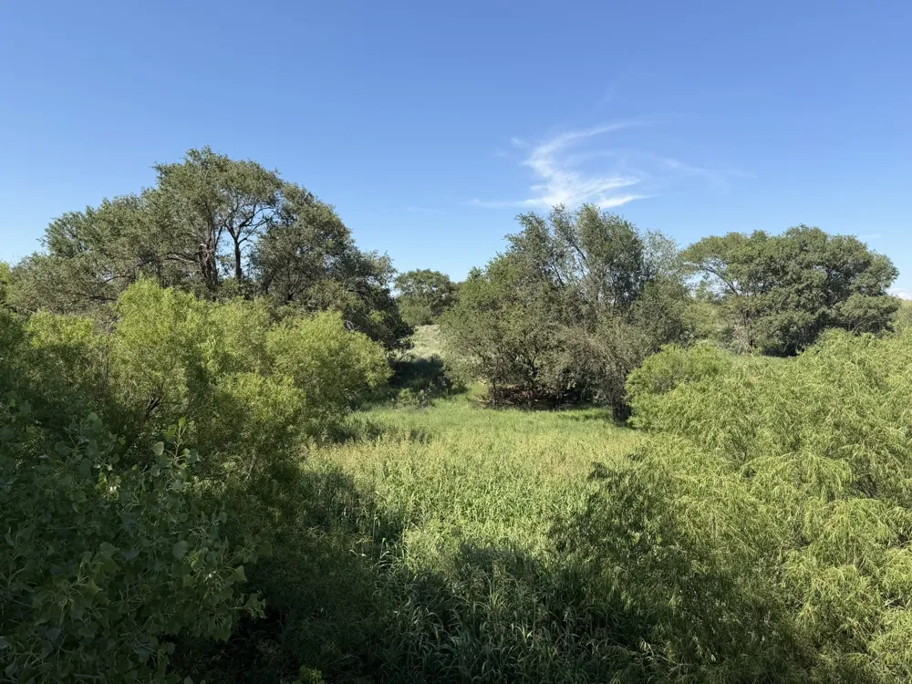 15400 County Road I Wellington, TX 79079