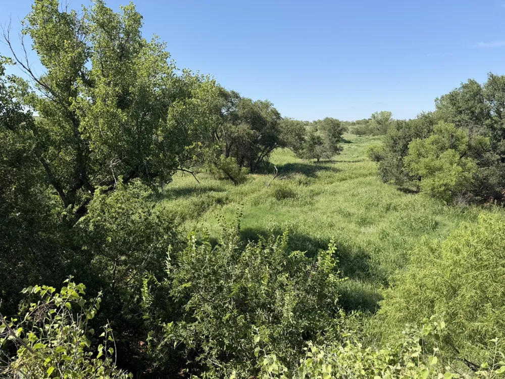 15400 County Road I Wellington, TX 79079