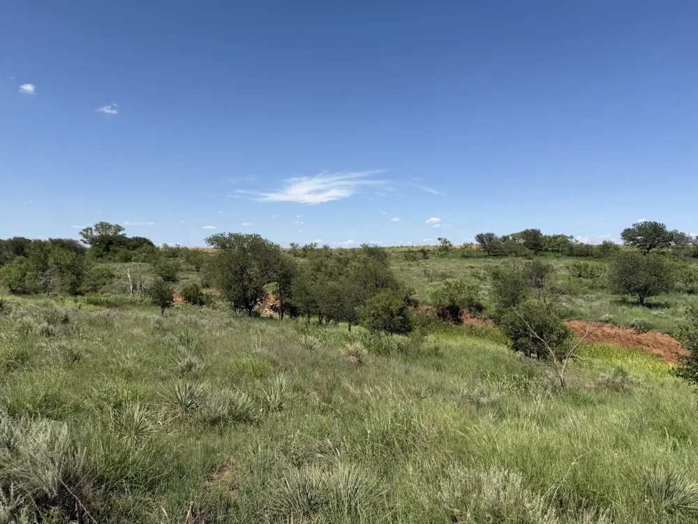 15400 County Road I Wellington, TX 79079