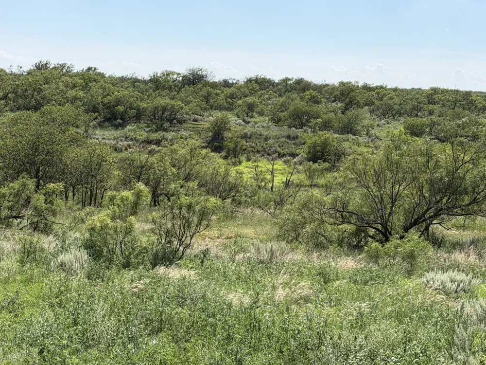 15400 County Road I Wellington, TX 79079