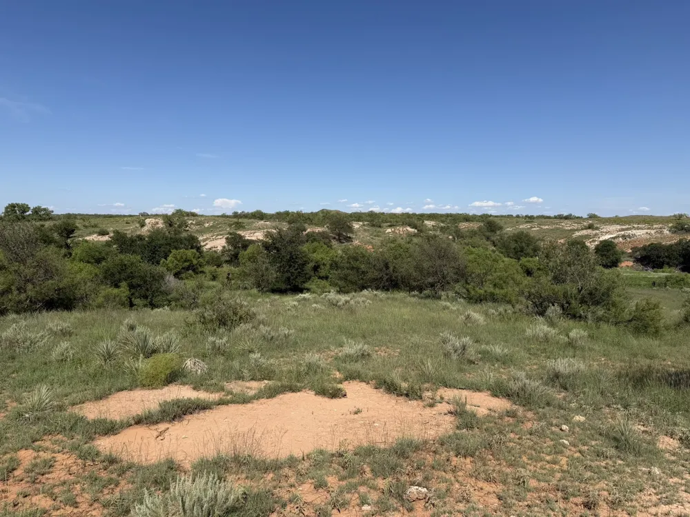 15400 County Road I Wellington, TX 79079