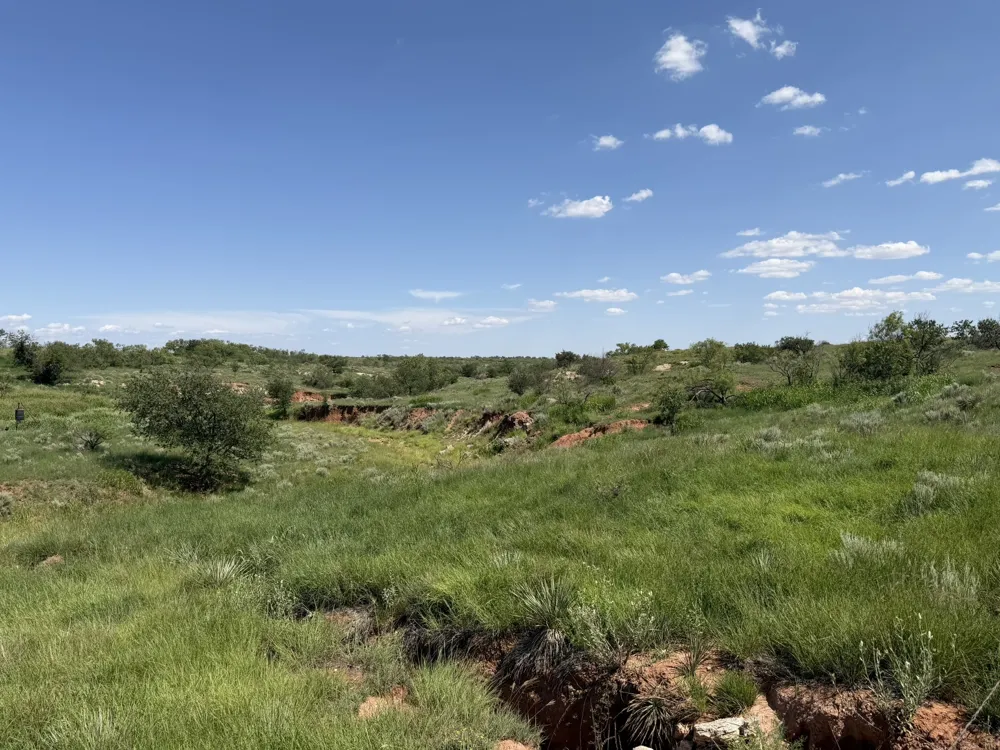 15400 County Road I Wellington, TX 79079