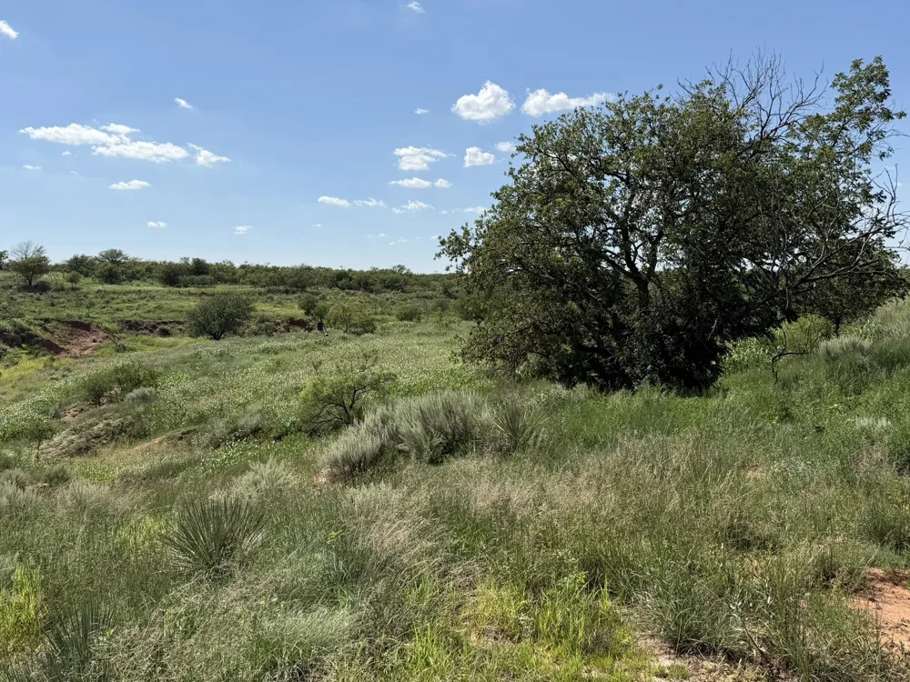 15400 County Road I Wellington, TX 79079