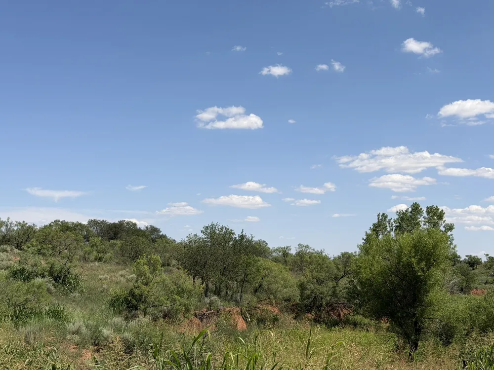 15400 County Road I Wellington, TX 79079