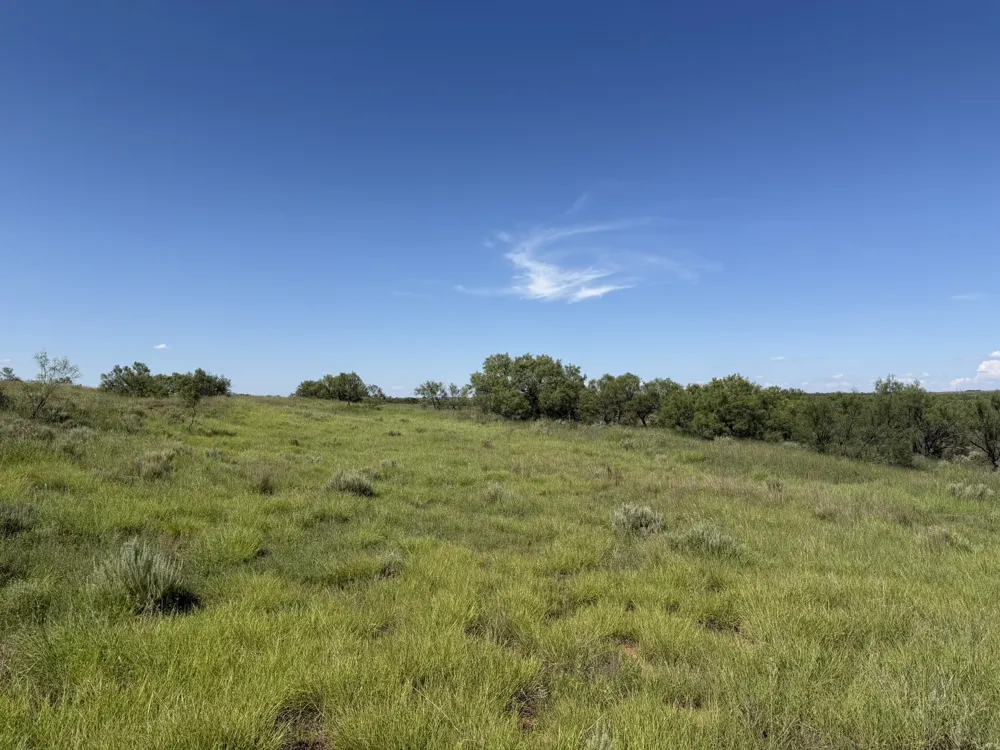 15400 County Road I Wellington, TX 79079