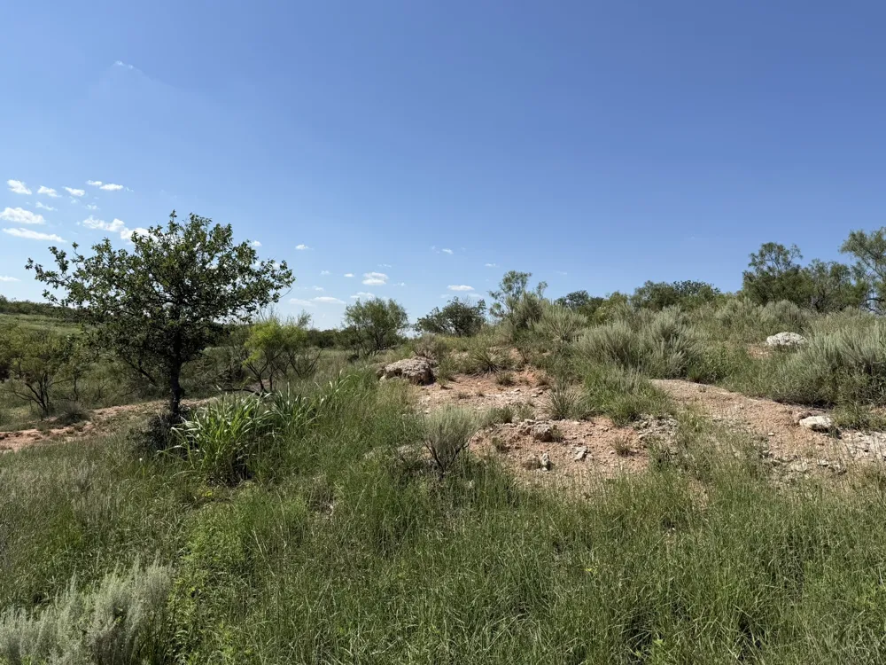 15400 County Road I Wellington, TX 79079