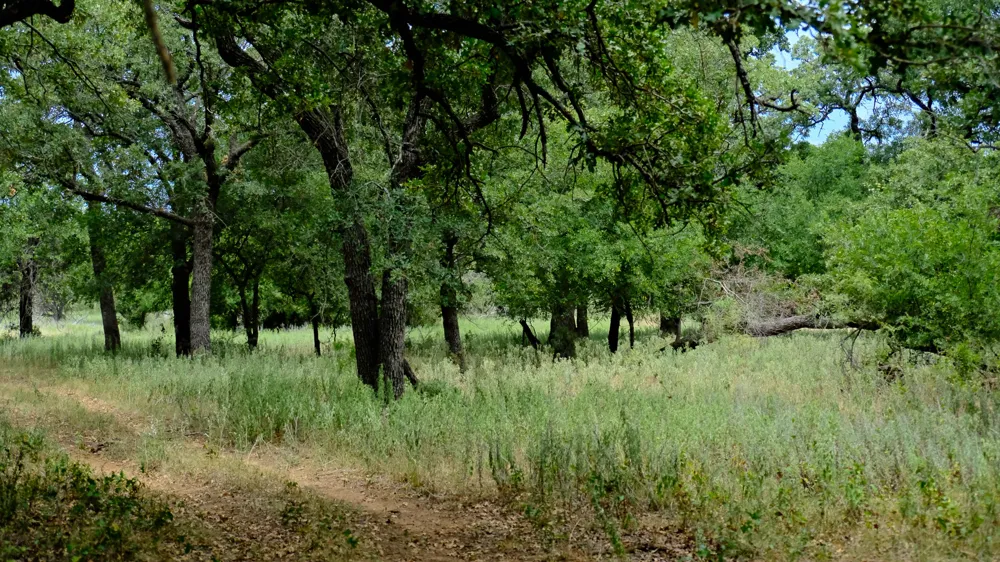 1922 Loving Road Jermyn, TX 76459