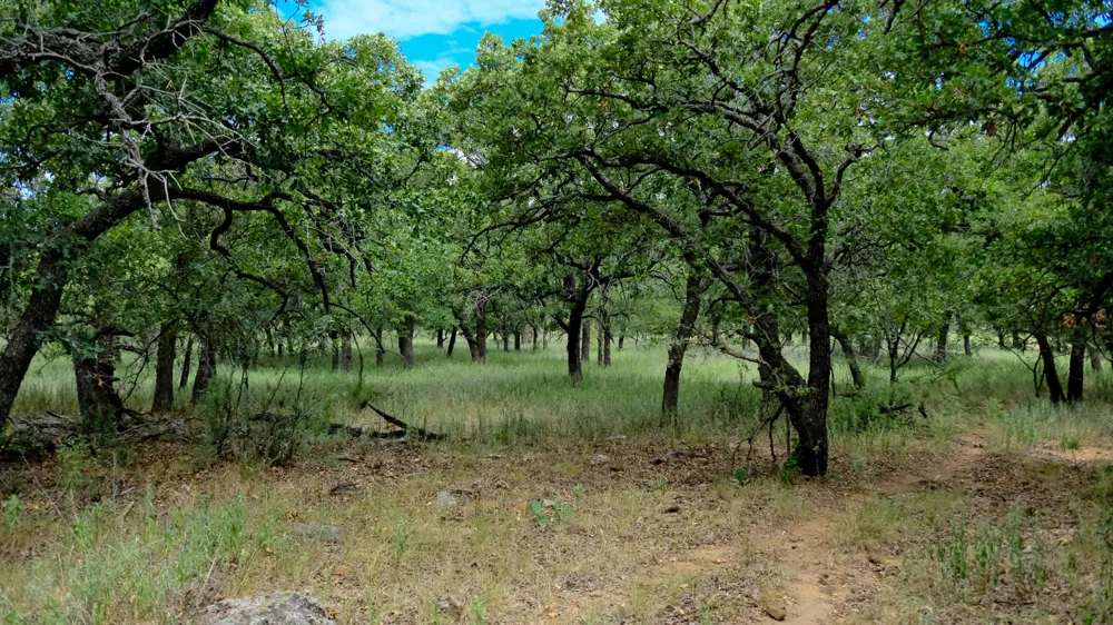 1922 Loving Road Jermyn, TX 76459