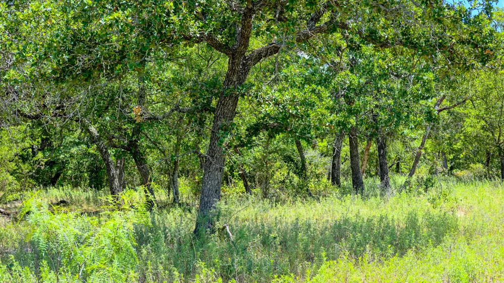 1922 Loving Road Jermyn, TX 76459