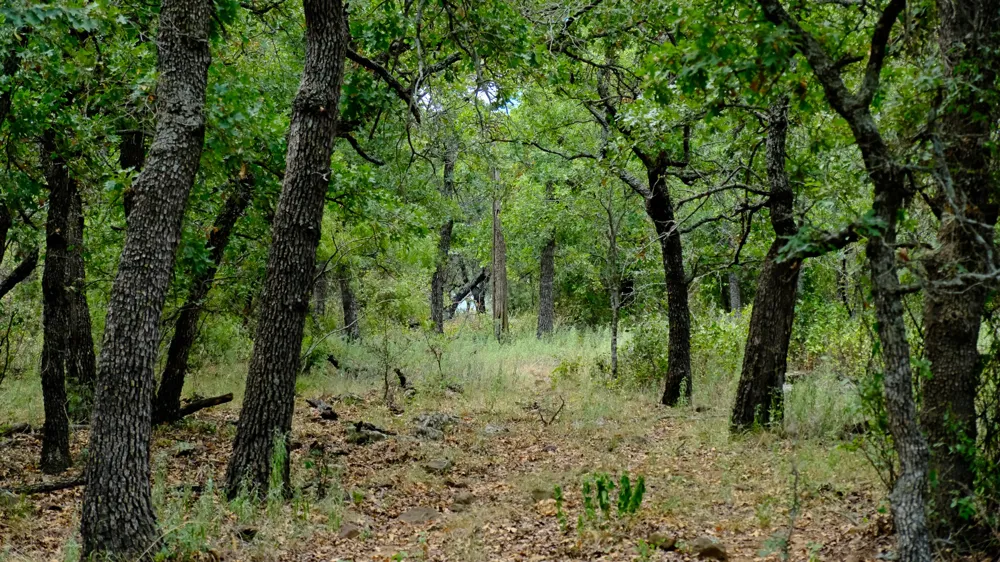 1922 Loving Road Jermyn, TX 76459