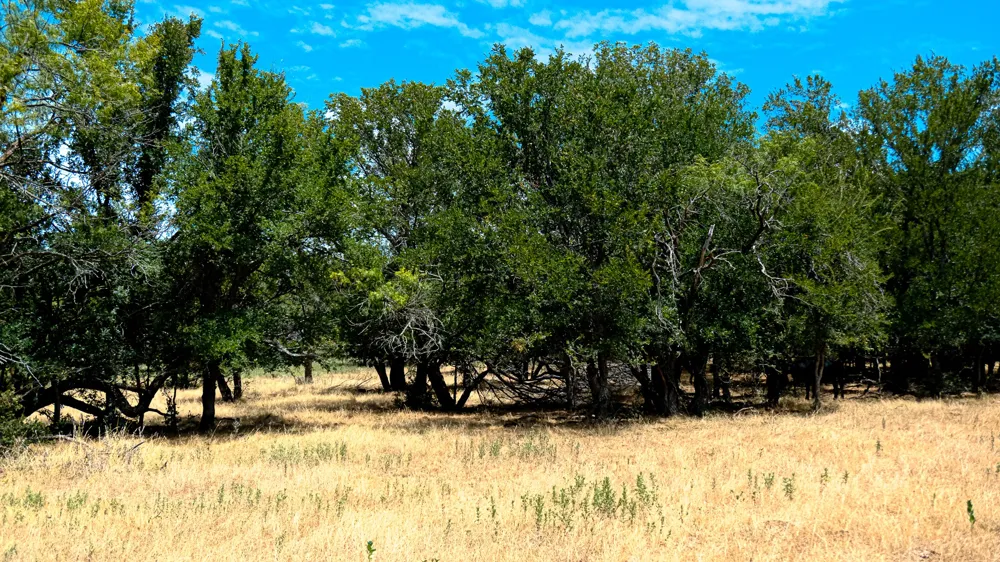 1922 Loving Road Jermyn, TX 76459