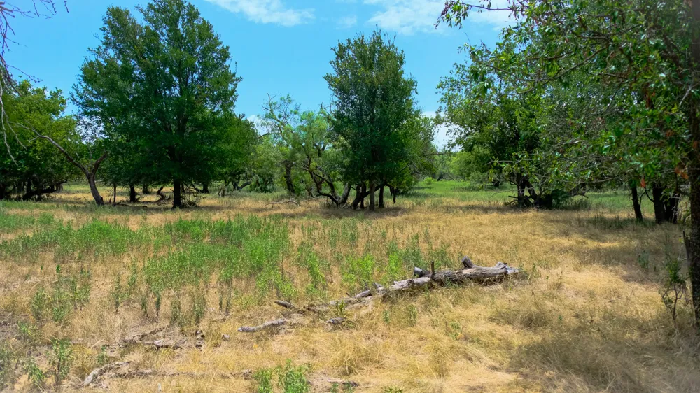 1922 Loving Road Jermyn, TX 76459