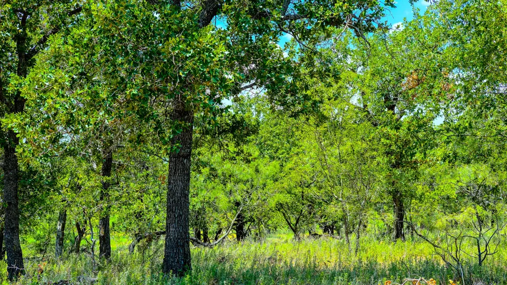 1922 Loving Road Jermyn, TX 76459