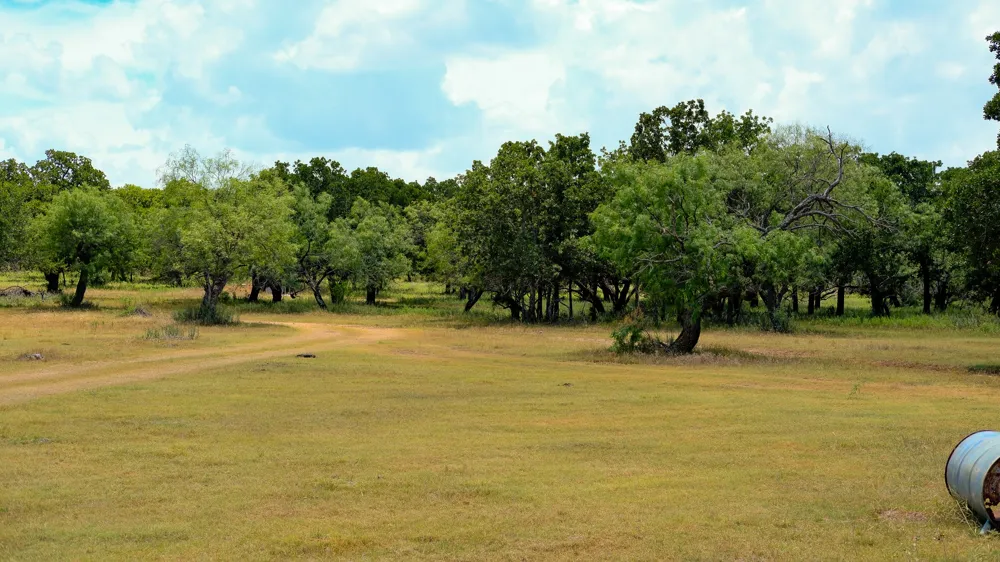 1922 Loving Road Jermyn, TX 76459