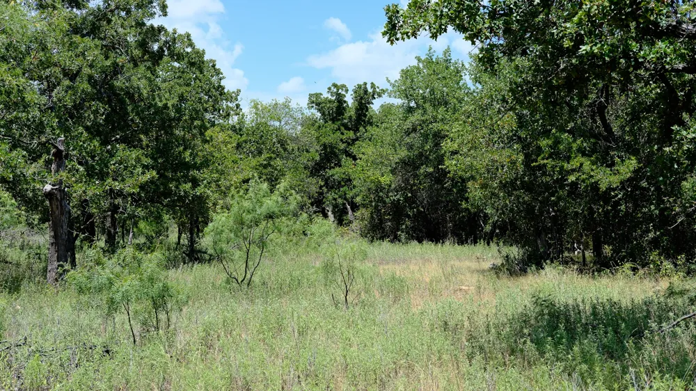 1922 Loving Road Jermyn, TX 76459
