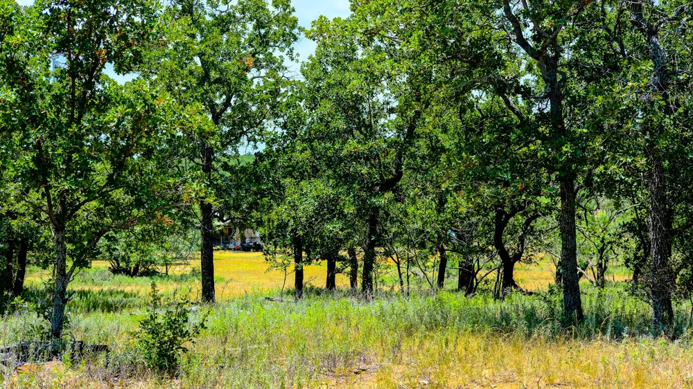 1922 Loving Road Jermyn, TX 76459