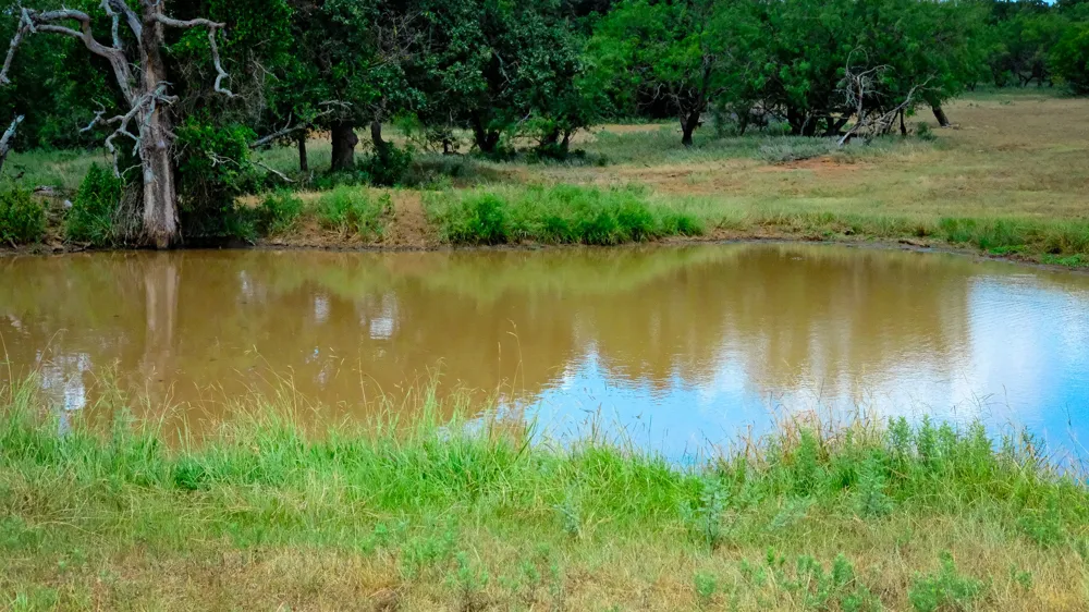 1922 Loving Road Jermyn, TX 76459