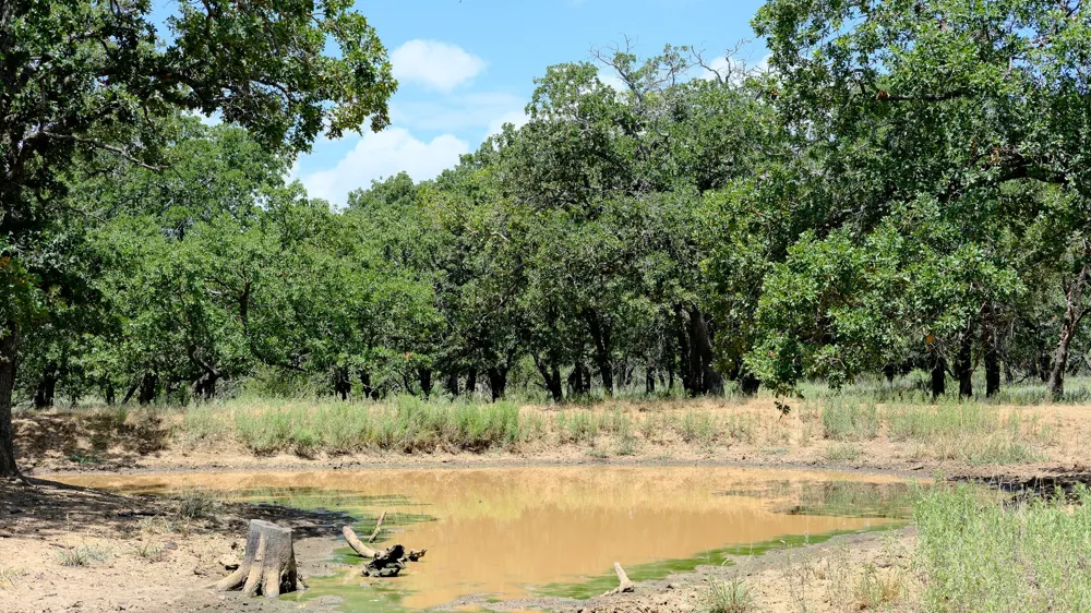 1922 Loving Road Jermyn, TX 76459