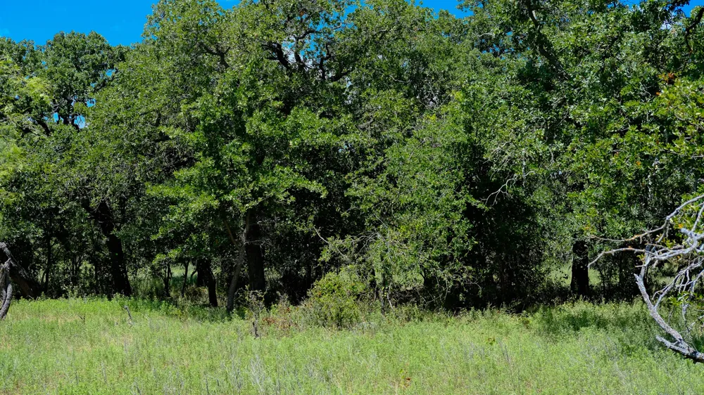 1922 Loving Road Jermyn, TX 76459