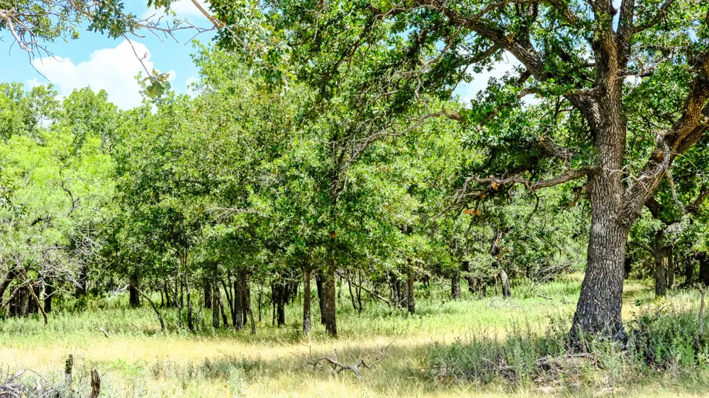 1922 Loving Road Jermyn, TX 76459