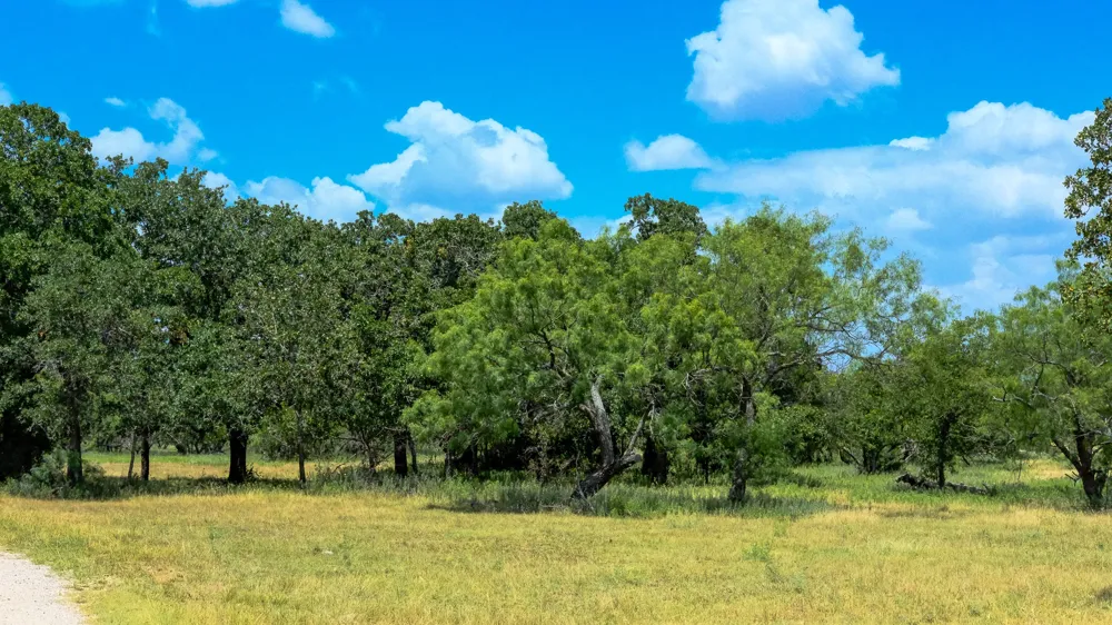 1922 Loving Road Jermyn, TX 76459