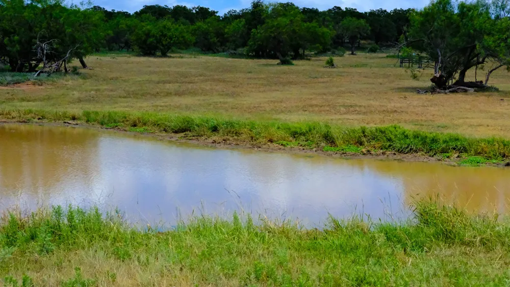 1922 Loving Road Jermyn, TX 76459
