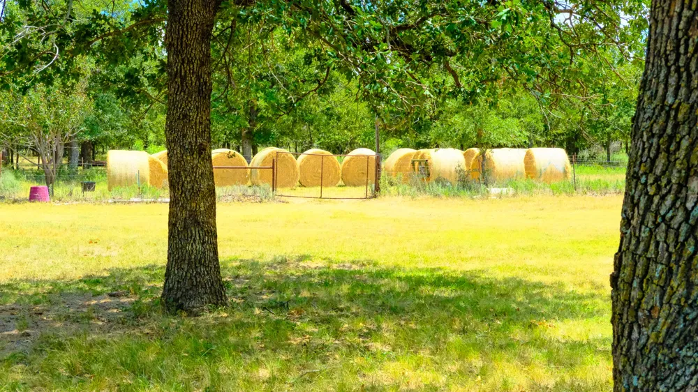 1922 Loving Road Jermyn, TX 76459