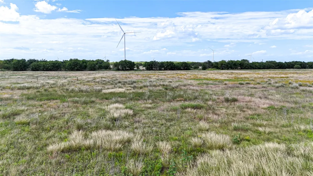 CR 3268 Mount Calm, TX 76673