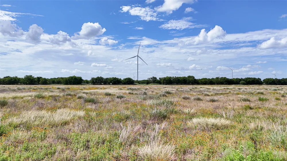 FM 339 Mount Calm, TX 76673
