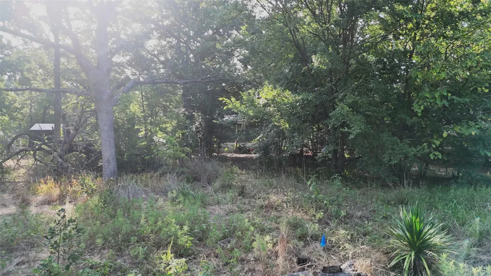 Cherokee Trail Hawk Cove, TX 75474