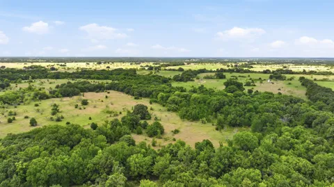 647 County Road 1480