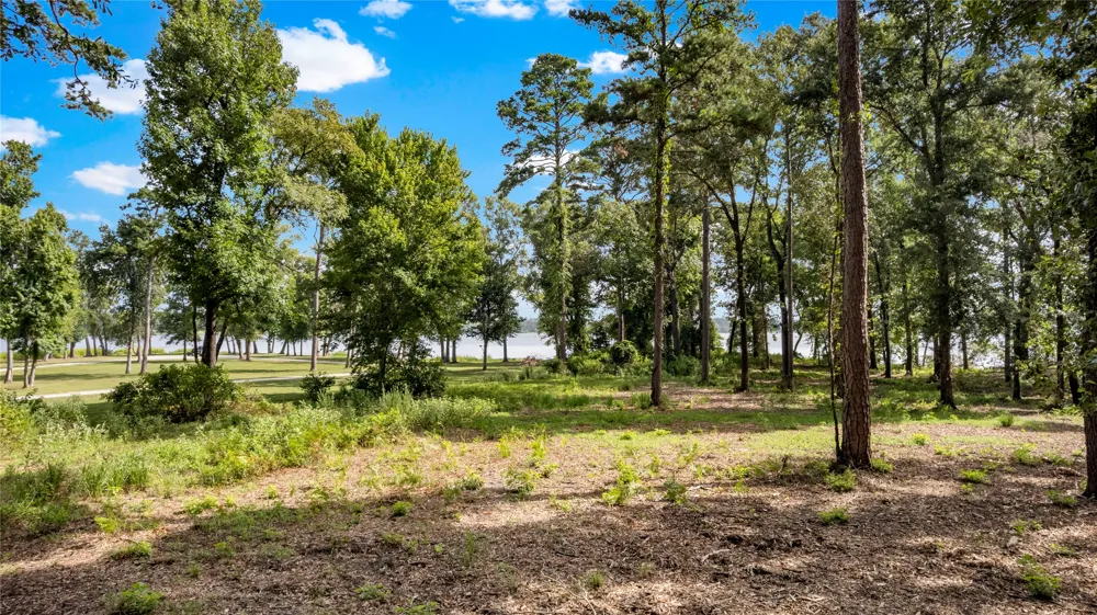 3168 Shadow Pine Drive Larue, TX 75770