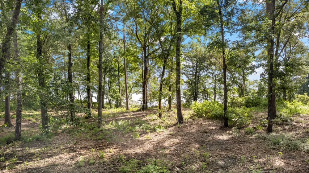 3168 Shadow Pine Drive Larue, TX 75770
