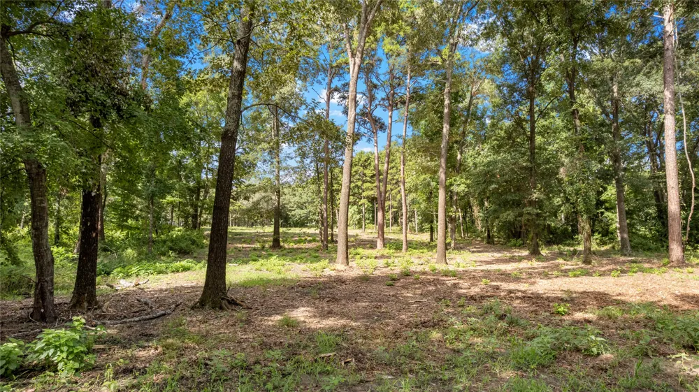 3168 Shadow Pine Drive Larue, TX 75770
