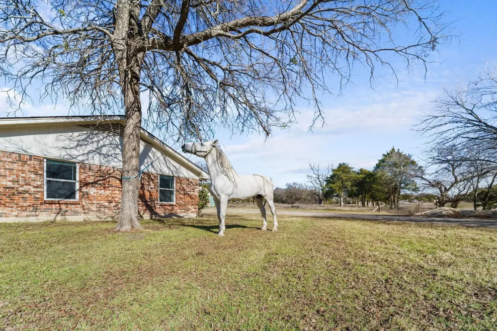 1006 S Clark Road Cedar Hill, TX 75104